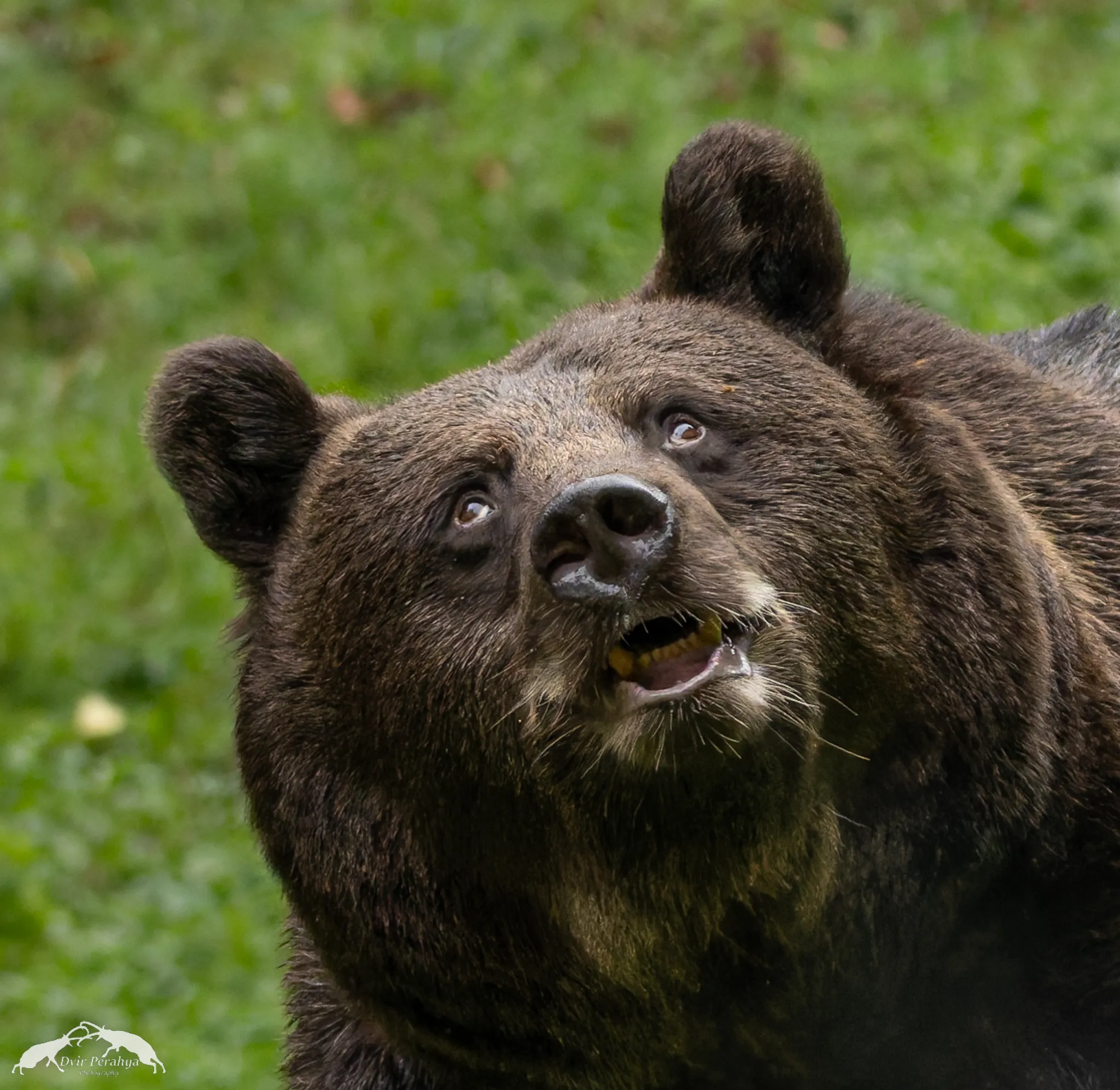 Tel Dor beach at sunset